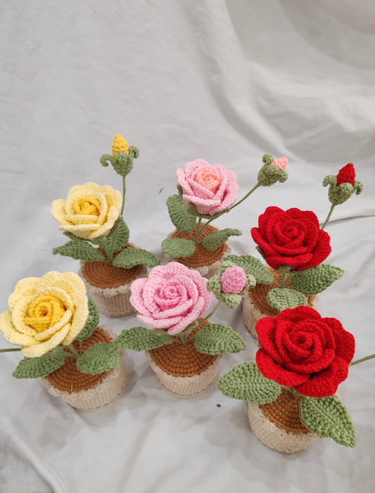 Rose Crochet Potted Flower - PP0001