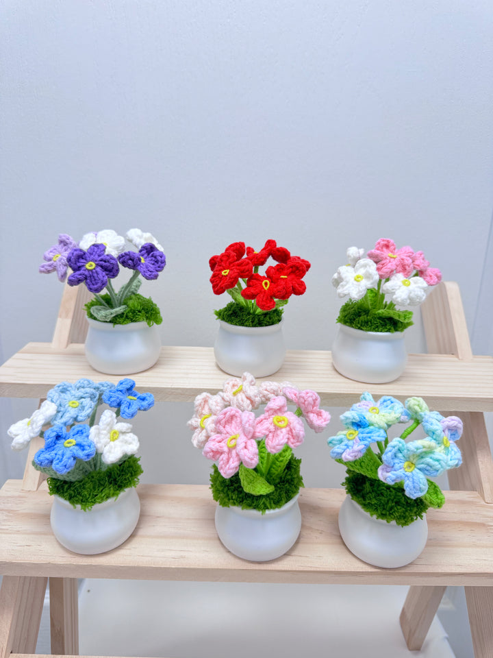 Handmade Forget Me Not Crochet Potted Flowers - PP0015 - CuteCraftsWorld