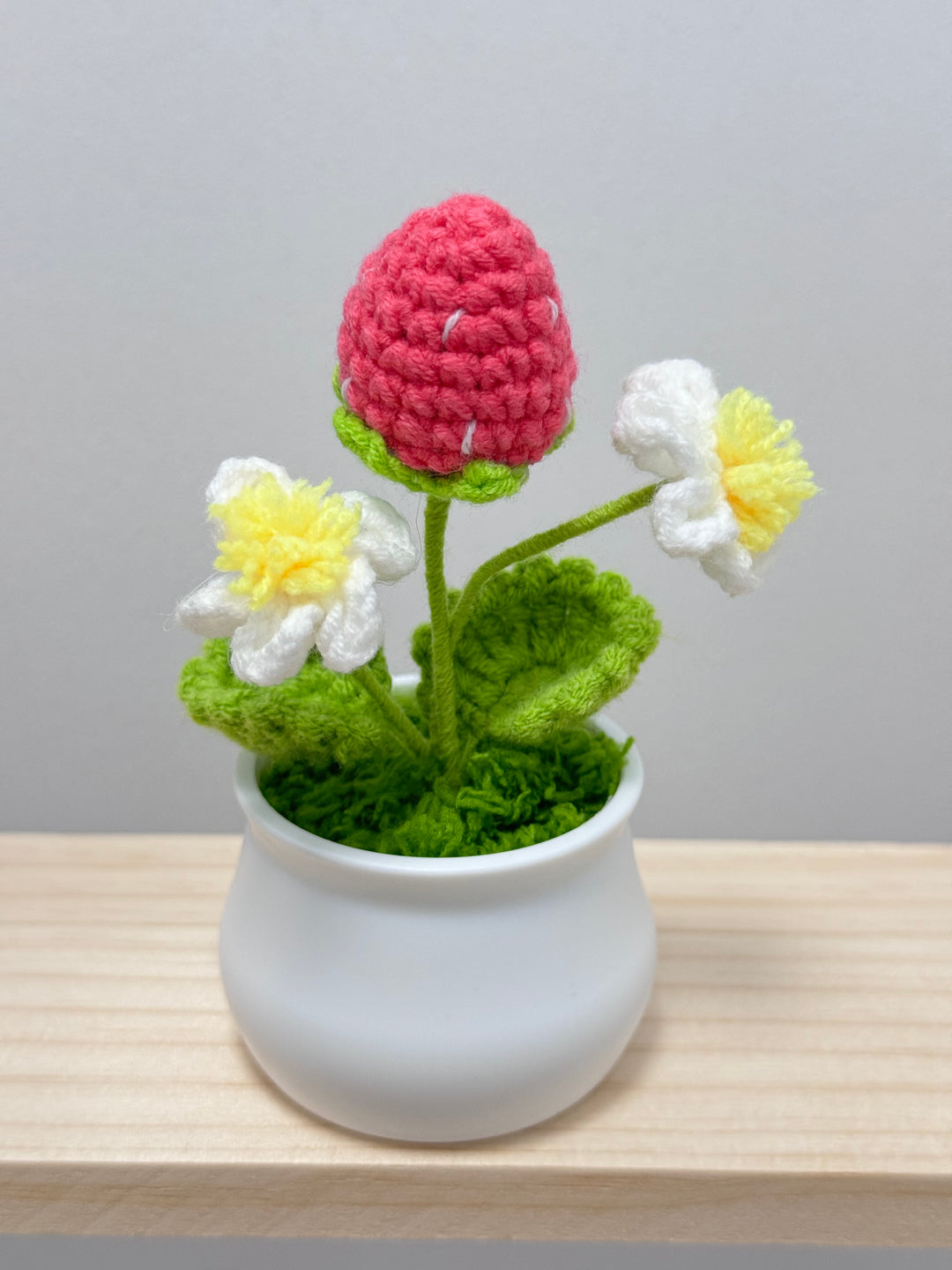 Handmade Strawberry Crochet Potted Flowers - PP0017 - CuteCraftsWorld